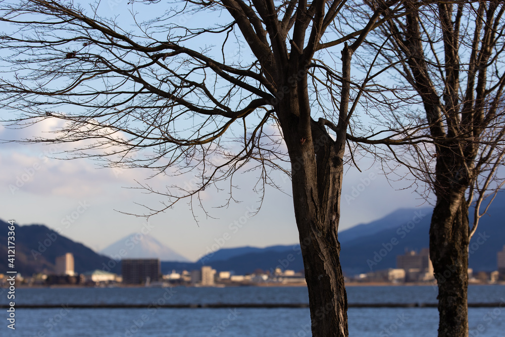 湖と木と富士山