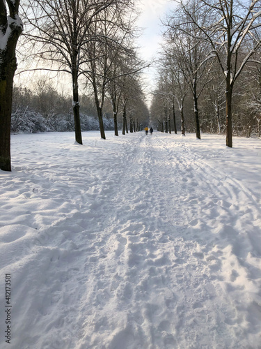 snow covered trees in the park © Frederik