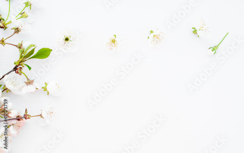 Fresh branches with white spring flowers on a white wooden background.