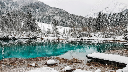 Fényképezés Zelenci Springs nature reserve near Kranjska Gora, Slovenia in Winter
