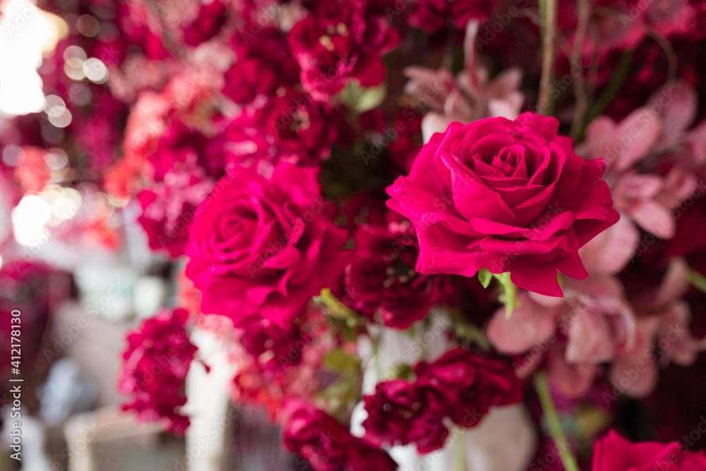 beautiful and romantic pink roses background beautiful and romantic pink roses background