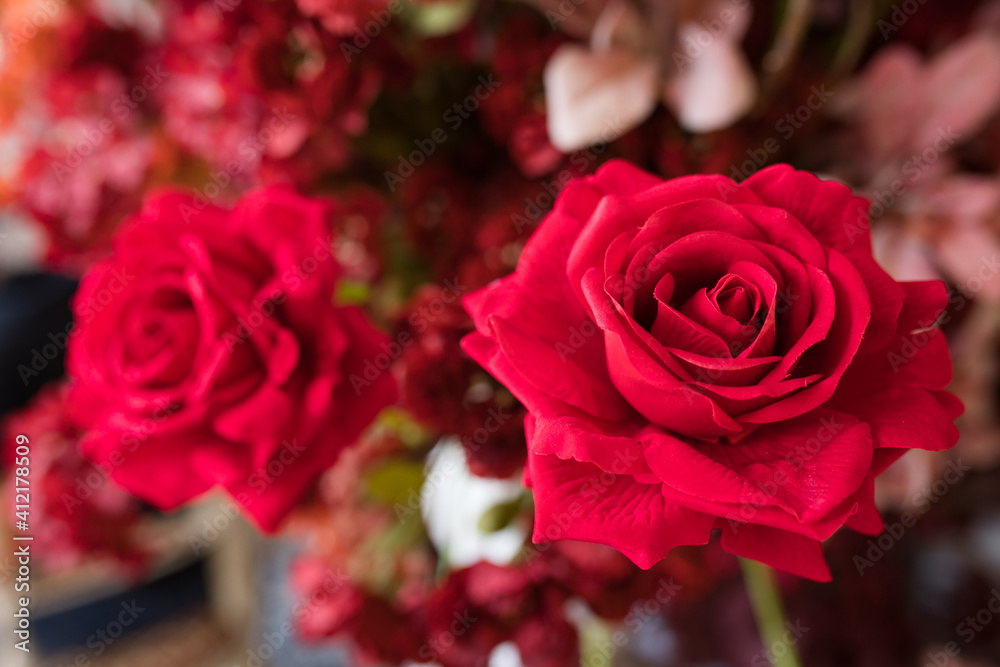 beautiful and romantic red roses background beautiful and romantic red roses background