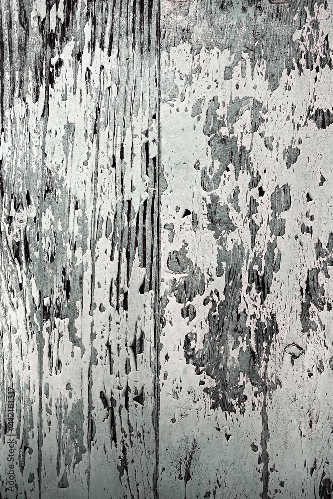 Peeling white paint on the grey wood surface of an old wooden building - Monochrome greyscale grunge background texture Peeling white paint on the grey wood surface of an old wooden building - Monochrome greyscale grunge background texture