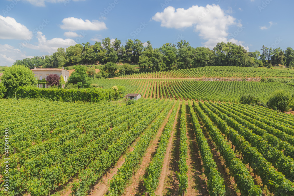 Countryside rural vineyards in Bordeaux wine country at Saint-Emilion in France.