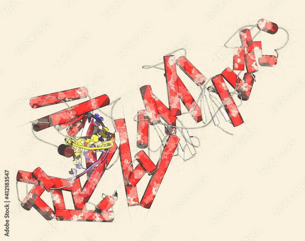 Taq polymerase (Thermus aquaticus polymerase) enzyme bound to DNA