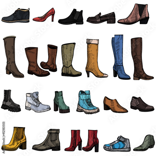 vector, isolated, shoe collection, sketch