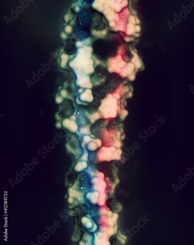 Keratin intermediate filament. Protein that is one of the main components of human skin, hair and nails. 3D rendering based on protein data bank entry 3tnu.  photo