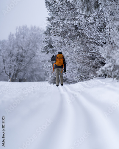 cross-country skiing in the blackforest