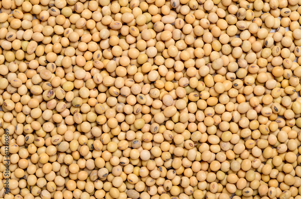 Raw soybean seeds texture background Raw soybean seeds texture background