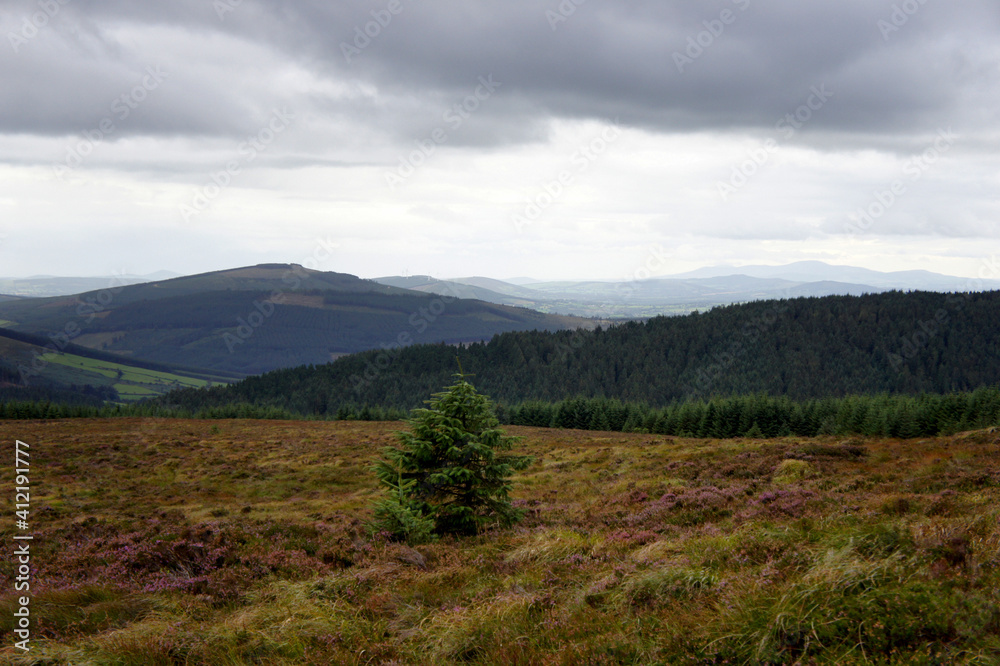 Cloudy evening in the Wicklow Mountains. Ireland.