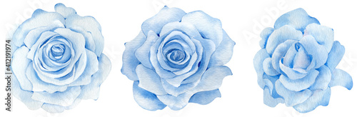 Watercolor set of hand-drawn blue roses. Blue flowers clipart. Romantic set.