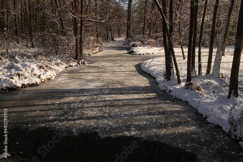 Winter im Spreewald; Spreearm in Leipe photo