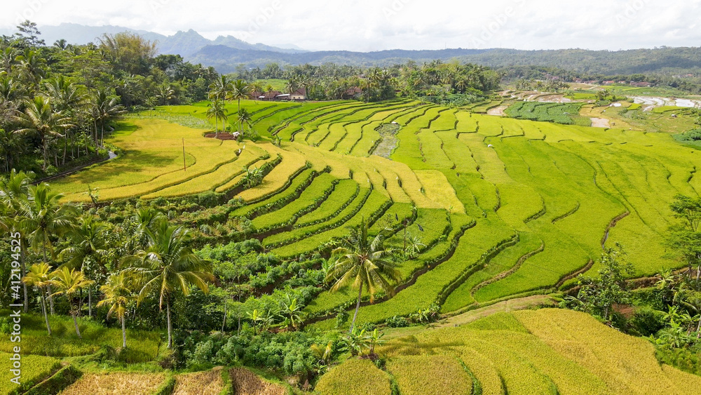 beautiful views of rice fields, roads and mountains beautiful views of rice fields, roads and mountains