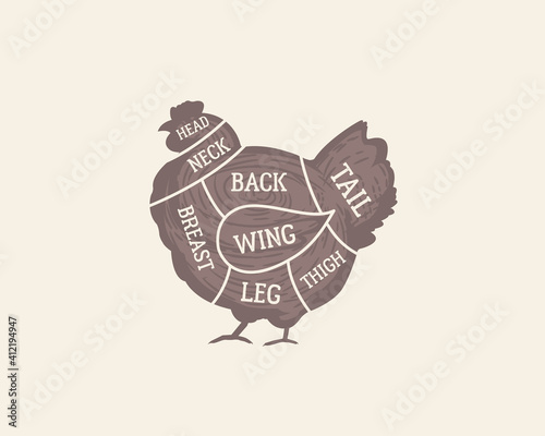Cuts of Chicken diagram. Butcher's guide poster. Hen silhouette. Meat cuts chart. Vintage poster, banner for butchery, grocery store, meat shop, restaurant. Vector illustration
