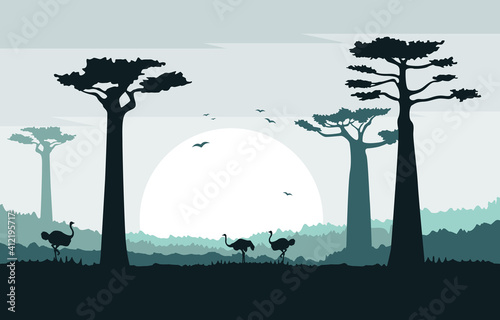 Fotografia Ostrich in Baobab Tree Savanna Landscape Africa Wildlife Illustration