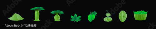 set of baobab or african tree cartoon icon design template with various models. vector illustration isolated on black background