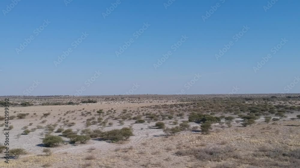 Big open Kalahari desert landscape, clear light blue skies, Camera rising and moving right to left. Aerial Video Big open Kalahari desert landscape, clear light blue skies, Camera rising and moving right to left. Aerial Video