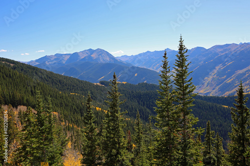 Aspen Mountain forest, Colorado