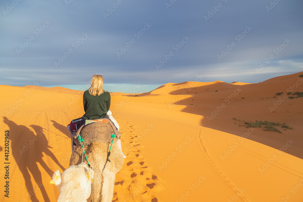 A young blonde female traveller on a camelback excursion along the desert sand dunes of Erg Chebbi near the village of Merzouga in southeastern Morocco.