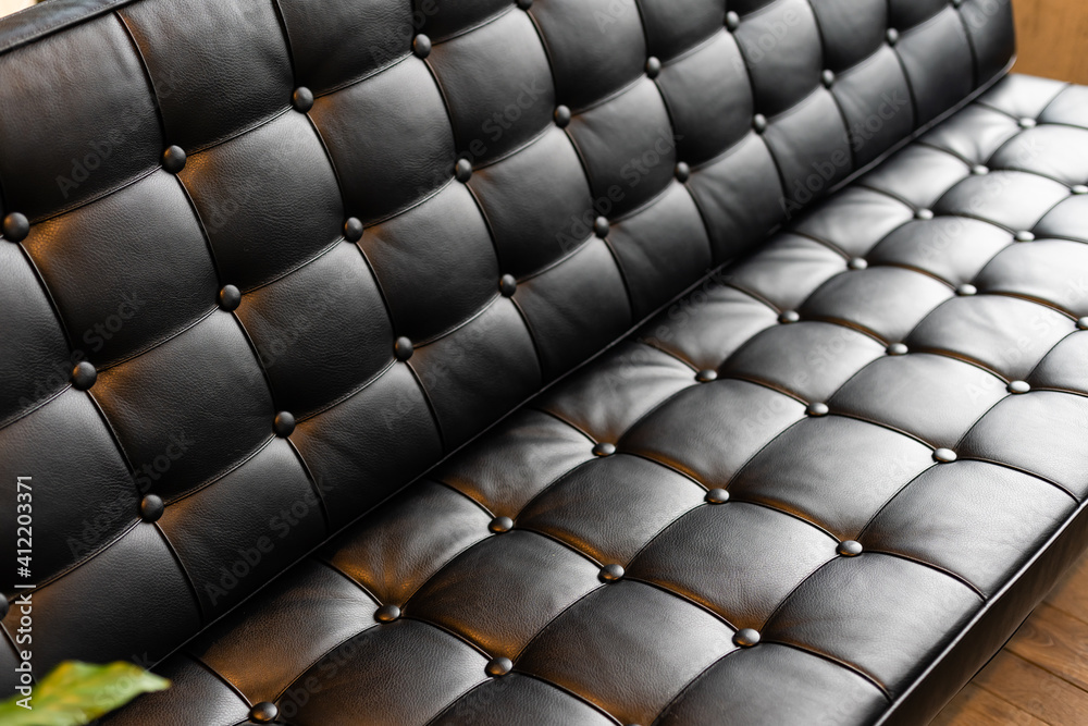 Dark leather sofa with plant Dark leather sofa with plant