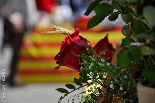 Tarragona, Spain - April 23, 2014: Roses to celebrate Sant Jordi day, the day of the book and the rose in Catalonia. photo