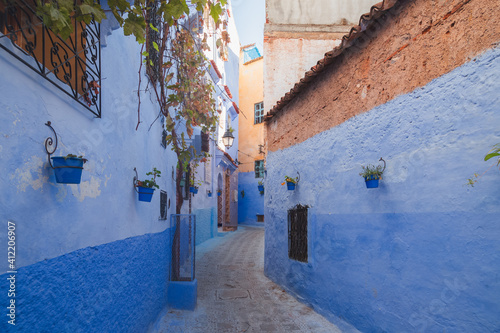 Colourful street scene of plant pots, blue steps and walls in the old town medina of Chefchaouen, situated in northwest Morocco and known as the Blue Pearl with its noted shades of blue. © Stephen