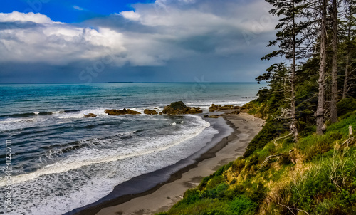 Tall conifers over the Pacific coast in Olympic National Park, Washington