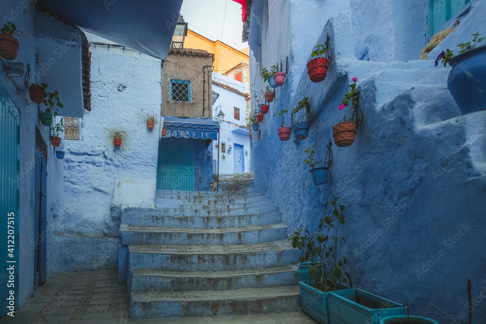 Fototapeta premium Colourful street scene of plant pots, blue steps and walls in the old town medina of Chefchaouen, situated in northwest Morocco and known as the Blue Pearl with its noted shades of blue.
