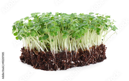 Fresh organic microgreen seeds on white background