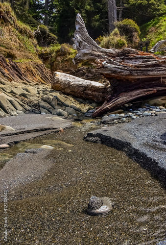 A small river that flows into the Pacific Ocean erodes the sandy shore in Olympic National Park, Washington