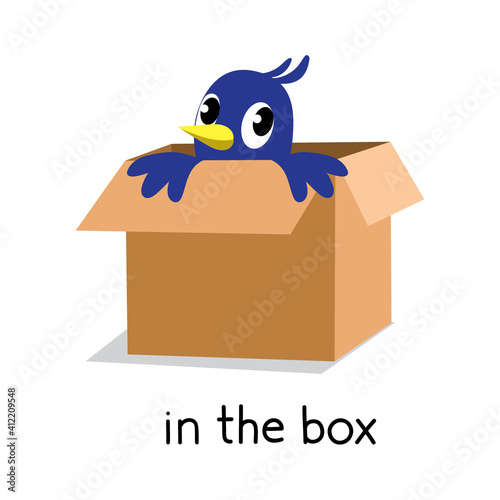 Preposition of place. Bird in the box