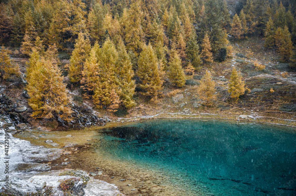 autumn mood with yellow larches arround partly frozen alpine lake in Valais autumn mood with yellow larches arround partly frozen alpine lake in Valais
