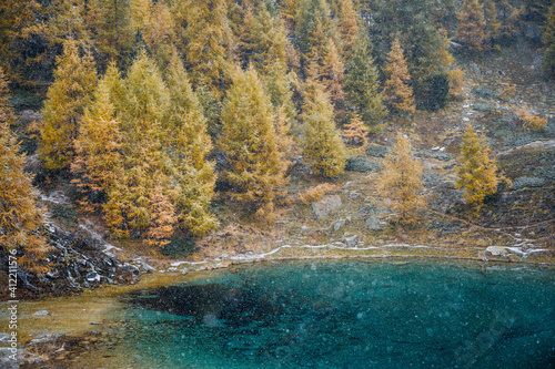 autumn mood with yellow larches arround partly frozen alpine lake in Valais photo