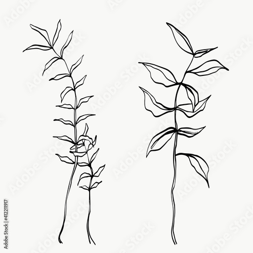 Fototapeta Naklejka Na Ścianę i Meble -  Botanical leaves line art. abstract modern or minimal plants line. perfect for home decor such as posters. vector illustrations design