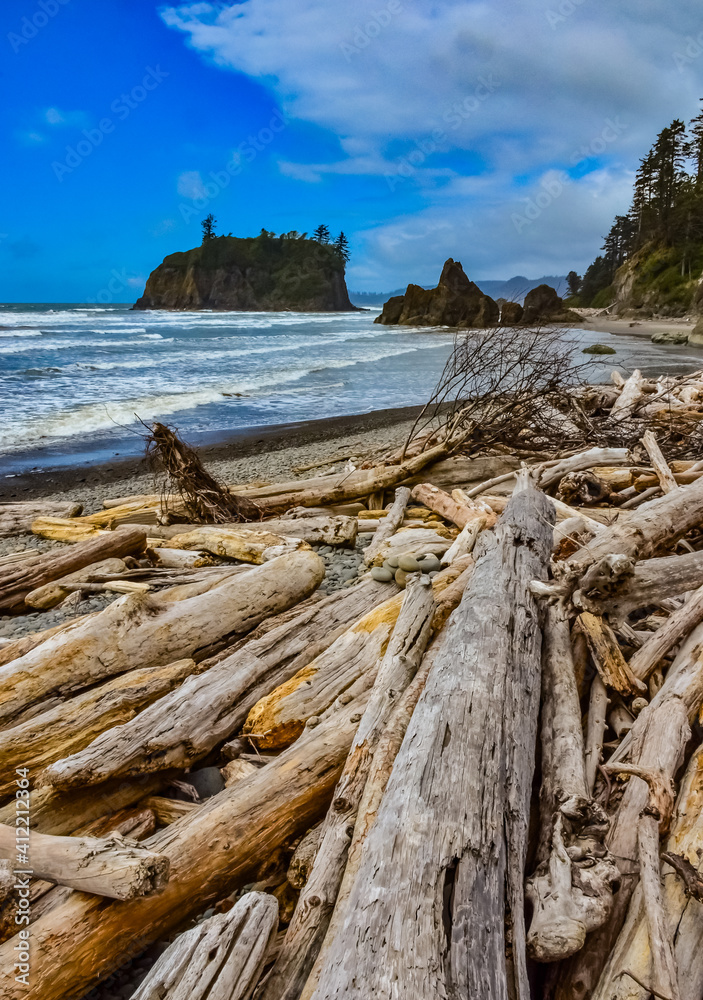 Trunks of fallen trees at low tide on the Pacific Ocean in Olympic, National Park, Washington