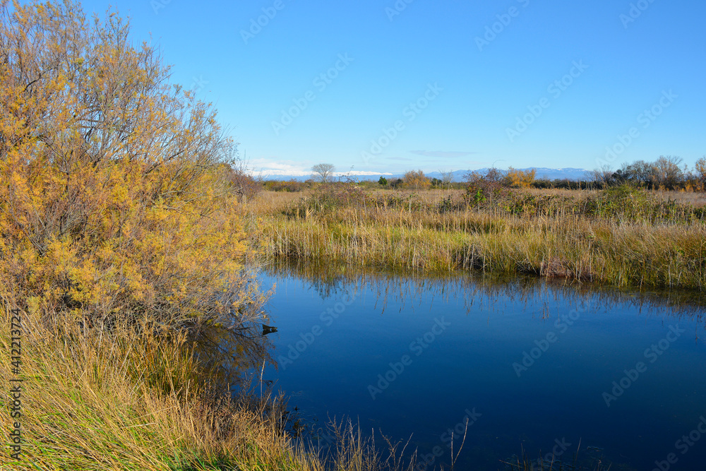 Winter in the wetland lagoon area near Grado, Friuli-Venezia Giulia, north east Italy
