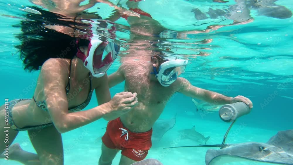 Underwater - Adult couple swimming with sharks and manta rays in
