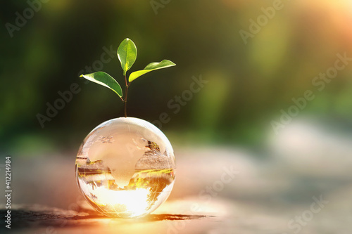 glass globe ball with tree growing and green nature blur background. eco earth day concept photo
