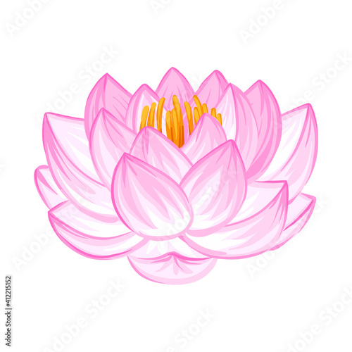 Illustration of lotus flower.