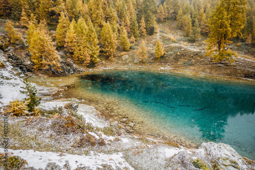 autumn larches around a frozen mountain lake in Valais
