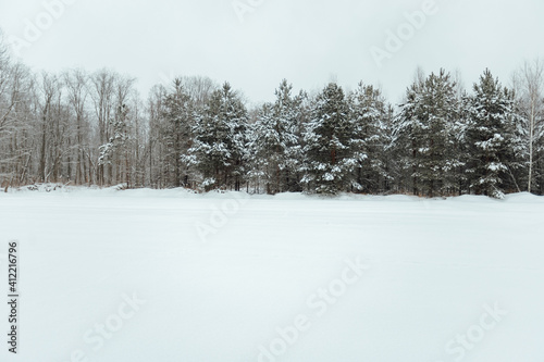 Wallpaper Mural the background of a winter forest, a landscape of fir trees strewn with white snow, an empty road among deep snowdrifts in a blizzard Torontodigital.ca