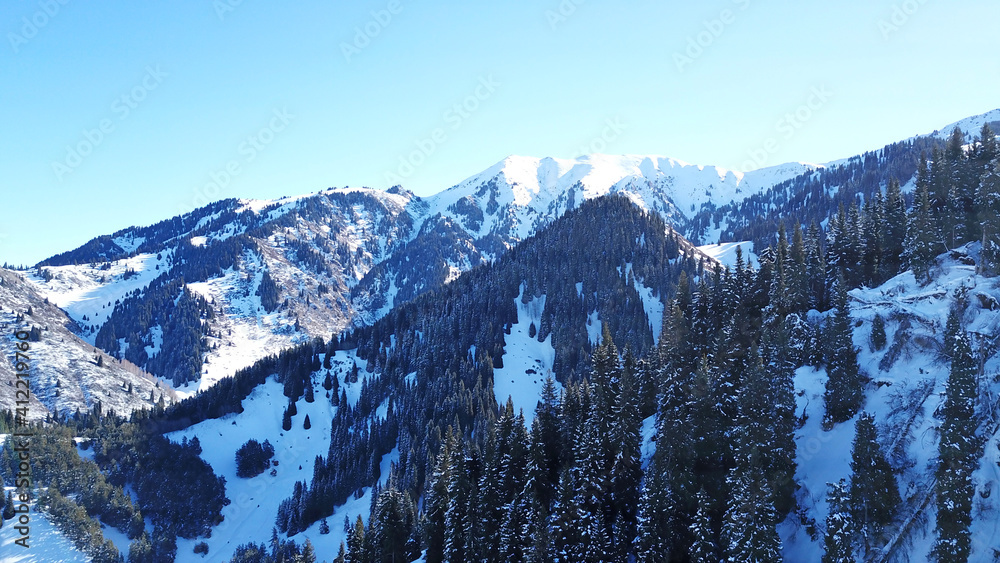 Winter forest high in the mountains. Top view from the throne of the snowy mountains and hills. Fir trees and trees grow on the hills. Some trees are covered with snow. The shadow of the trees.