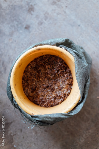 a person holds a handful of seeds in his hand, a large bucket of plant seeds for planting, selection of new varieties of vegetation for breeding and agricultural crops