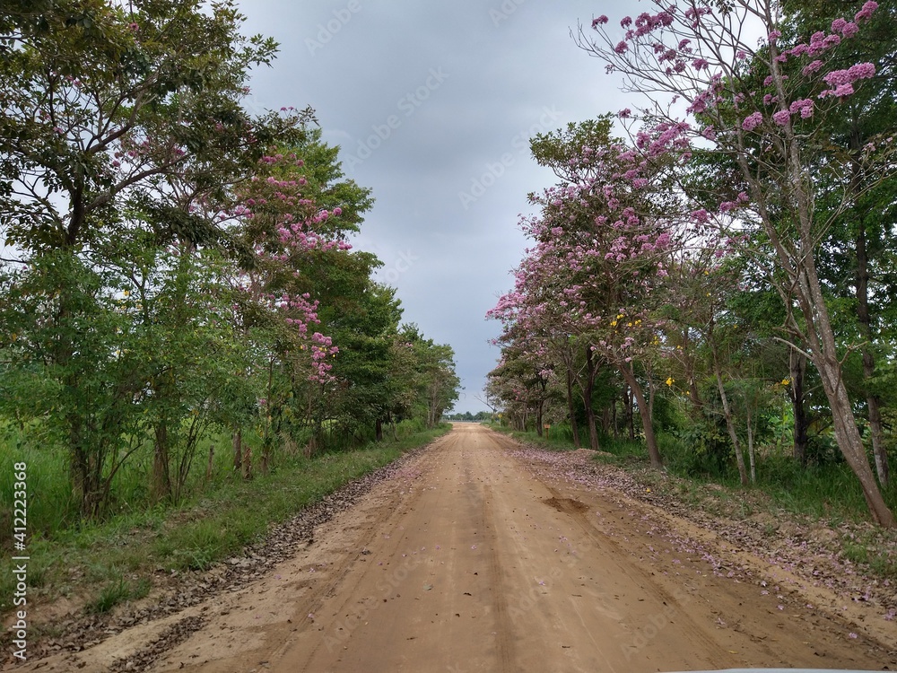 Una via de arauca en colombia