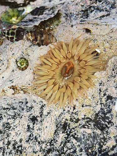 In between the rocks.