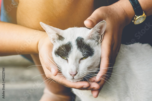 An abandoned stray black and white cat embraced and massaged by the girl's hands with love and compassion. Lovely cat in kindness human hands, Vintage effect love for the animals. Pet care concept.