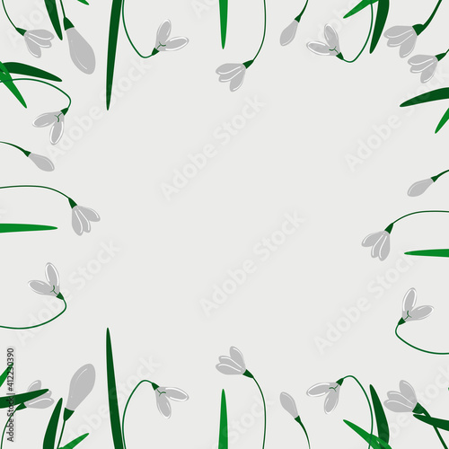 first spring flowers. snowdrop. frame