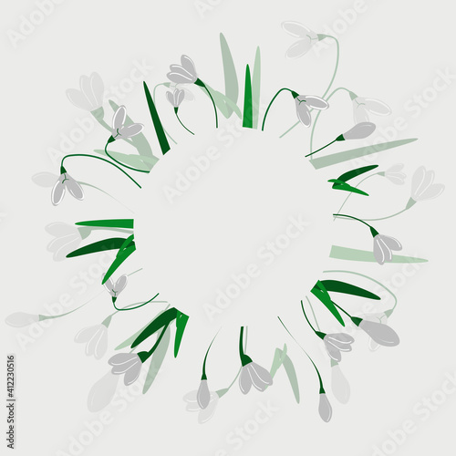 first spring flowers. snowdrop. frame
