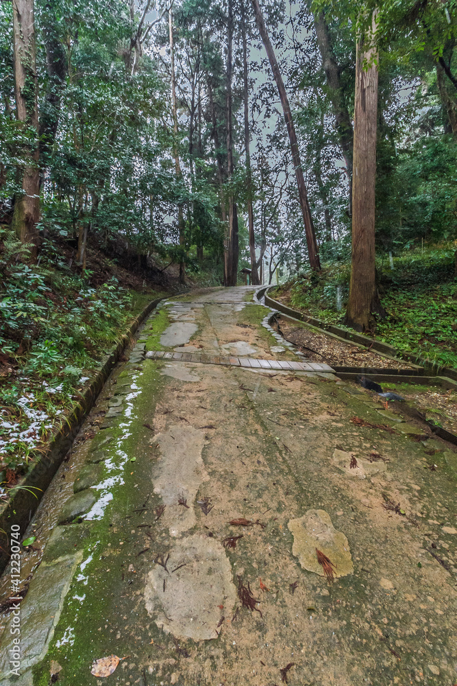 冬の松江城の風景