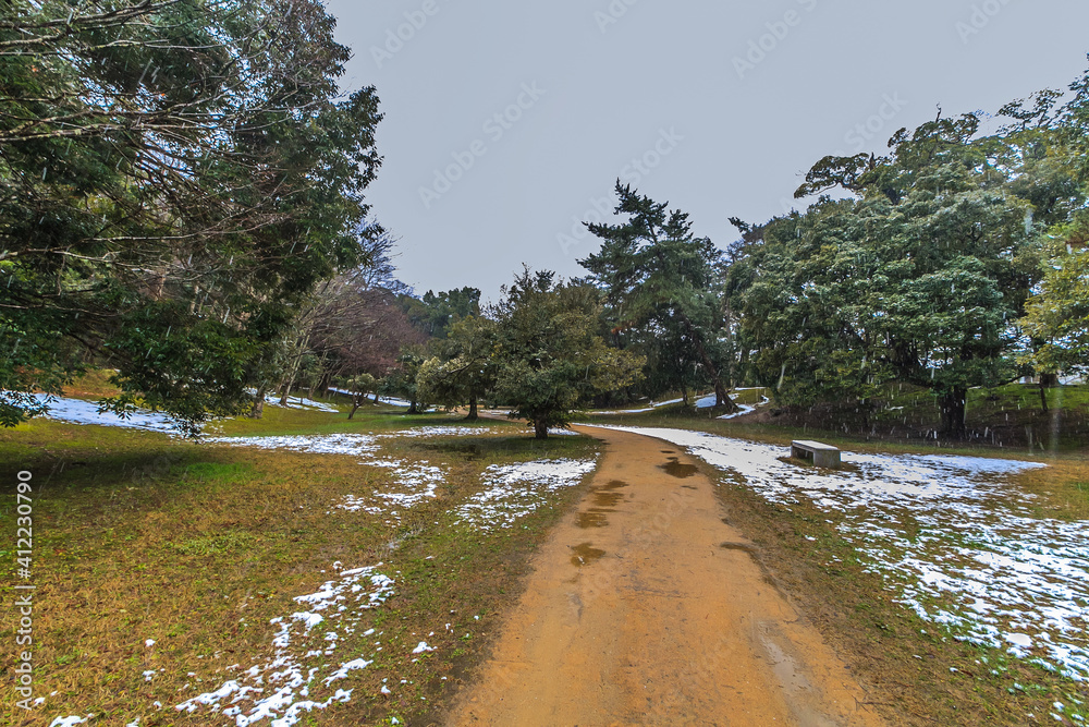 冬の松江城の風景